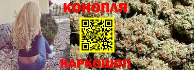 гашик Краснознаменск