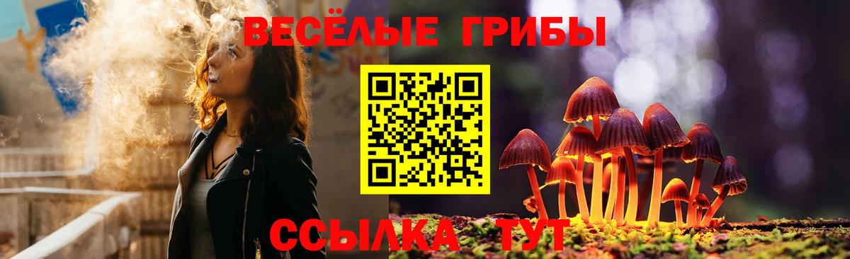Галлюциногенные грибы GOLDEN TEACHER  что такое   Карталы  Вход с VPN 